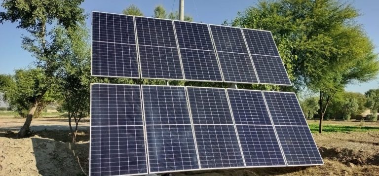 WhatsApp Image 2024-06-01 at 8.44