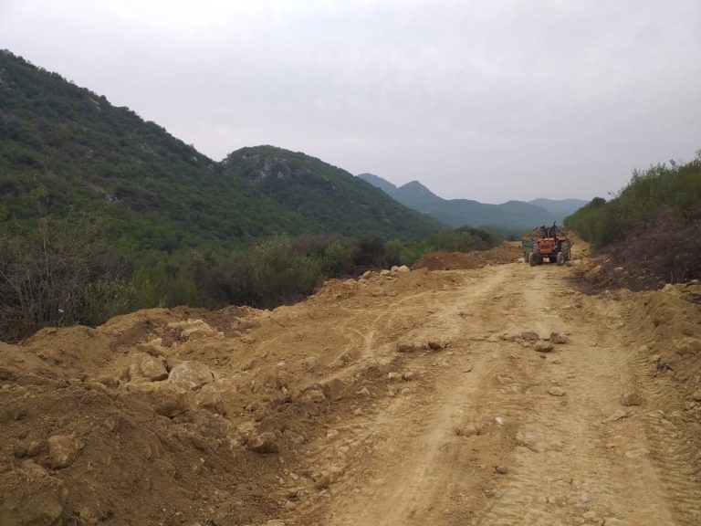 WhatsApp Image 2024-06-06 at 3.35