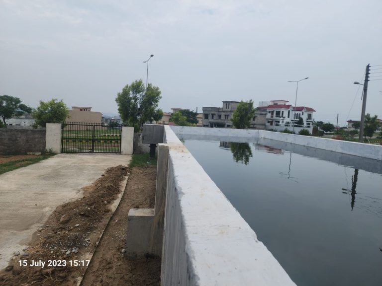 WhatsApp Image 2024-06-26 at 1.16