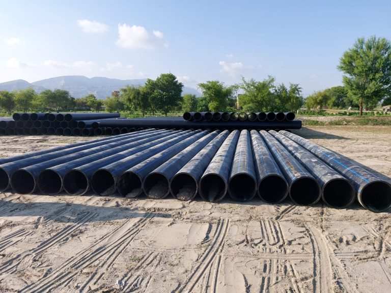 WhatsApp Image 2024-06-26 at 3.03