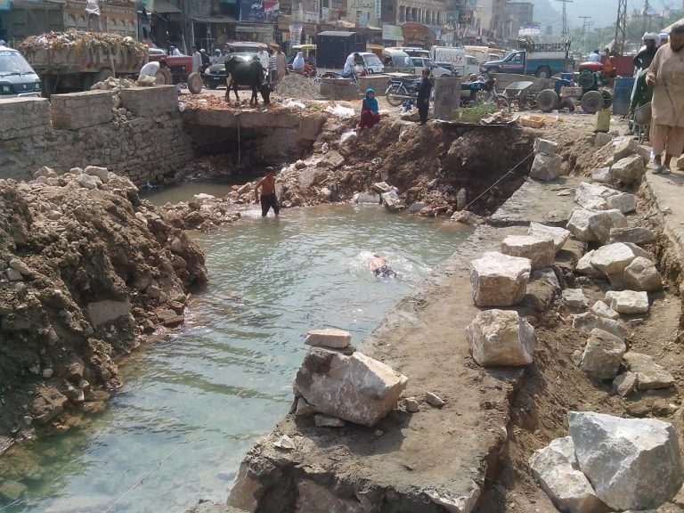 WhatsApp Image 2024-06-27 at 4.56