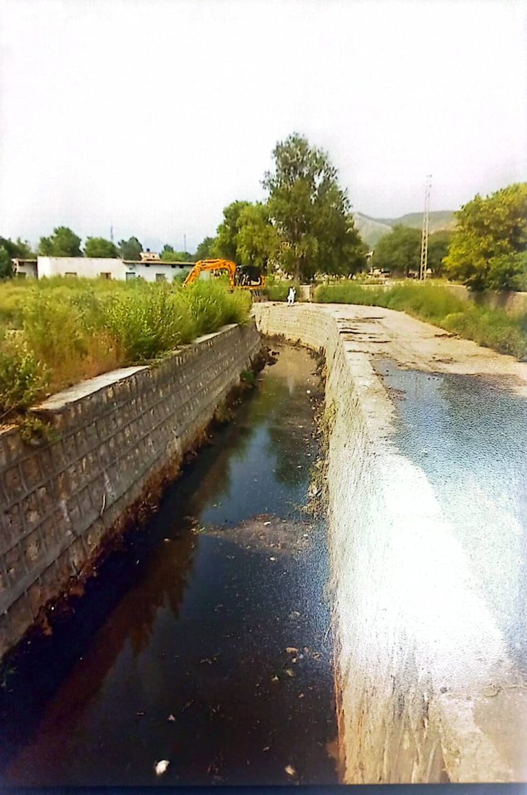 WhatsApp Image 2024-06-28 at 12.49