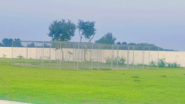 WhatsApp Image 2024-06-28 at 2.44