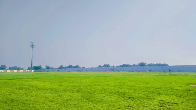 WhatsApp Image 2024-06-28 at 2.44