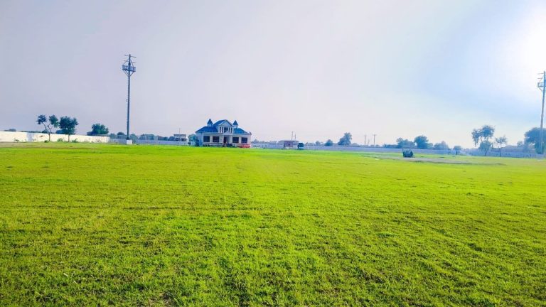 WhatsApp Image 2024-06-28 at 2.44